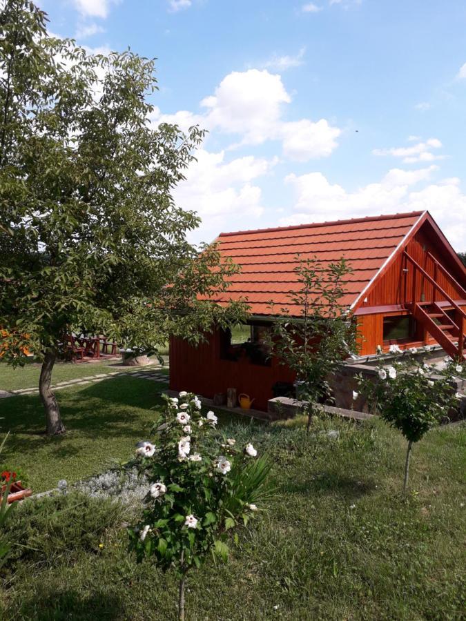 Matyas Apartman Tard Buitenkant foto